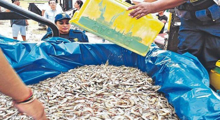 Pescadores de Nayarit acusan a CNAP de corrupción por saqueo de camarón