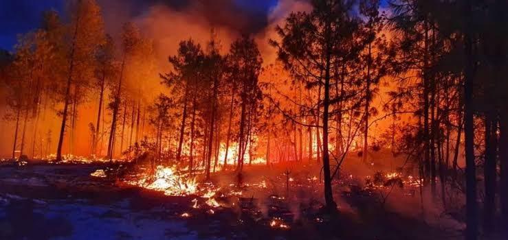 En Tepic registran cinco incendios forestales en lo va de febrero