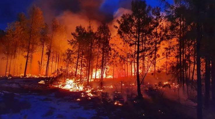 En Tepic registran cinco incendios forestales en lo va de febrero