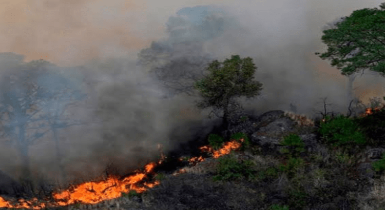Nayarit entre los 9 estados con incendios activos en México