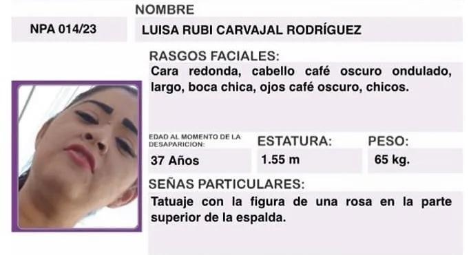 Luisa desapareció hace 11 días en Tepic