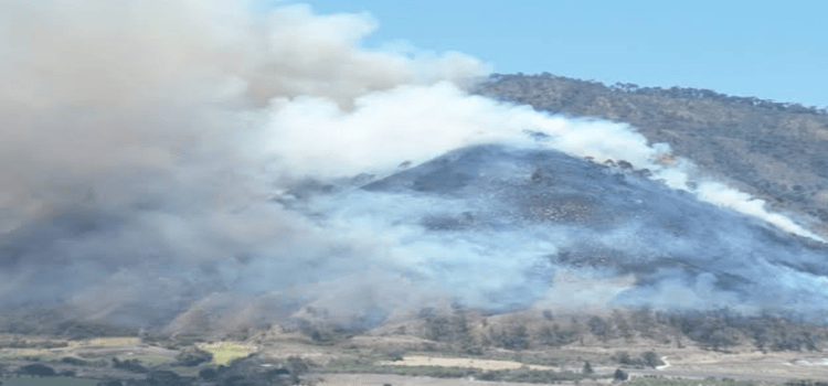 Se incendia el cerro de San Juan en Tepic