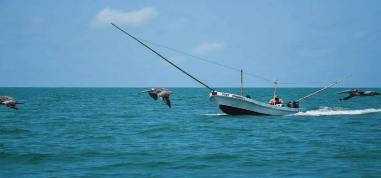 Entrega Gobernador Navarro préstamos sin intereses a pescadores del norte de Nayarit