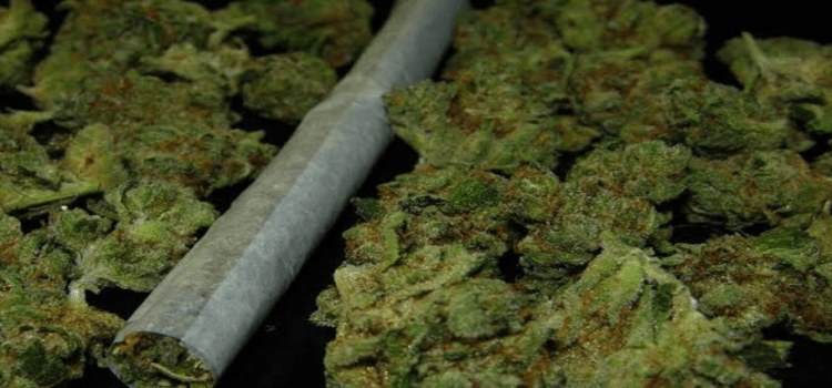 Diputado dice no a la legalización de la mariguana
