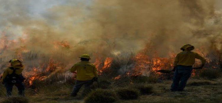 Nayarit se enfrenta al desafío de los incendios forestales