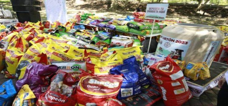 Ciudadanos de Tepic donan siete toneladas de alimento para perros y gatos