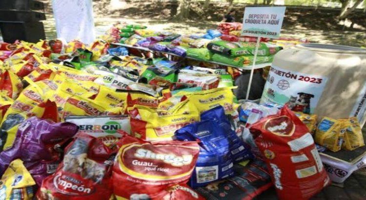 Ciudadanos de Tepic donan siete toneladas de alimento para perros y gatos