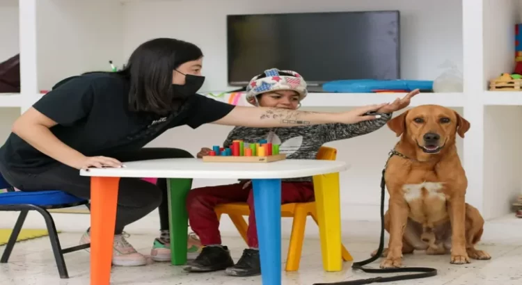DIF Tepic ofrece terapias infantiles con canes
