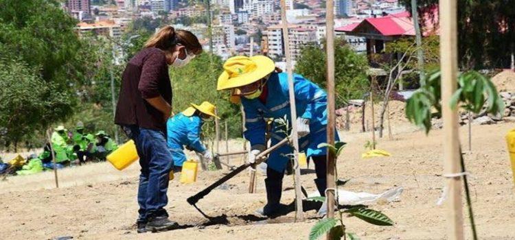 Colocan 200 nuevos árboles en Tepic