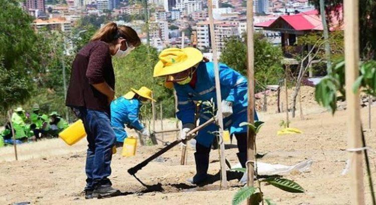 Colocan 200 nuevos árboles en Tepic