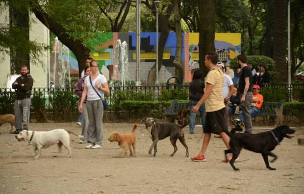 Diputada busca concretar parques incluyentes para mascotas