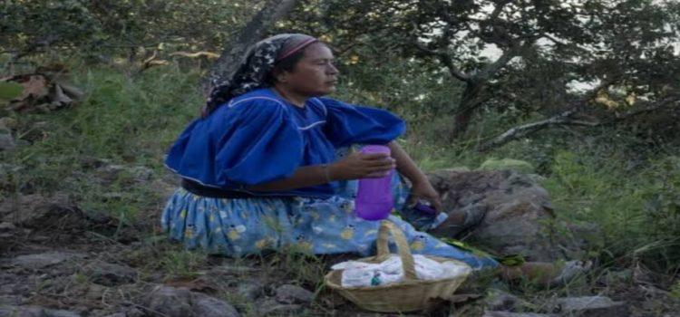 Gobierno federal restituye tierras de comunidad wixárika en frontera de Jalisco y Nayarit