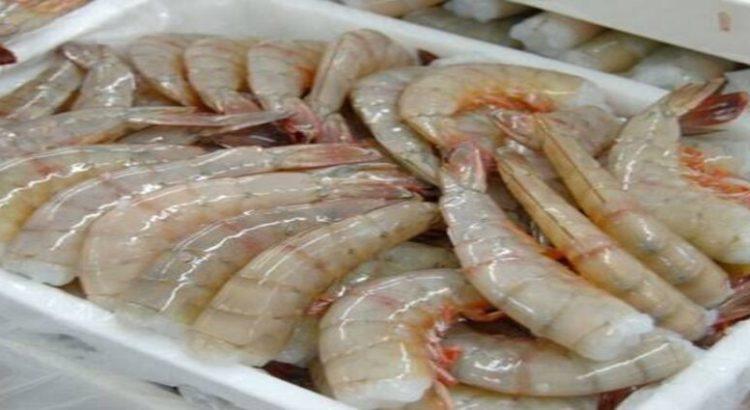 Escasea el camarón en el sector restaurantero de Nayarit
