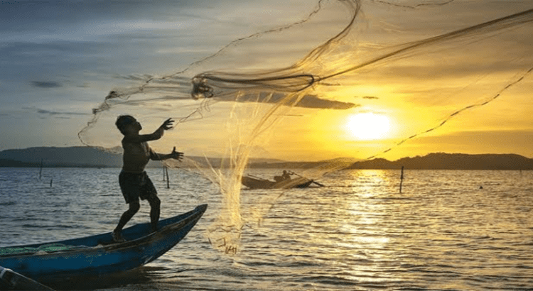 Presentarán Ley de Pesca en Nayarit