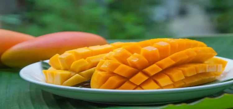 Nayarit ocupa el tercer lugar a nivel nacional en producción de mango