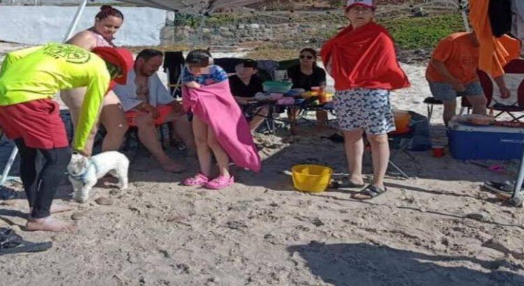 Rescatan a 2 familias de ahogarse en playas de la Riviera Nayarit
