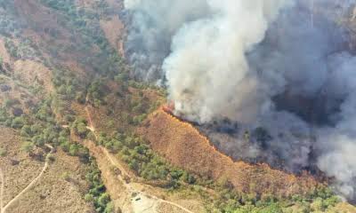 Suspenden clases en los municipios de Tepic y Xalisco en Nayarit por presencia de humo
