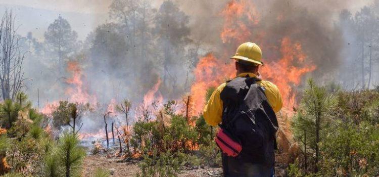 Activan Plan DN-III por incendio forestal en Sierra de San Juan de Tepic