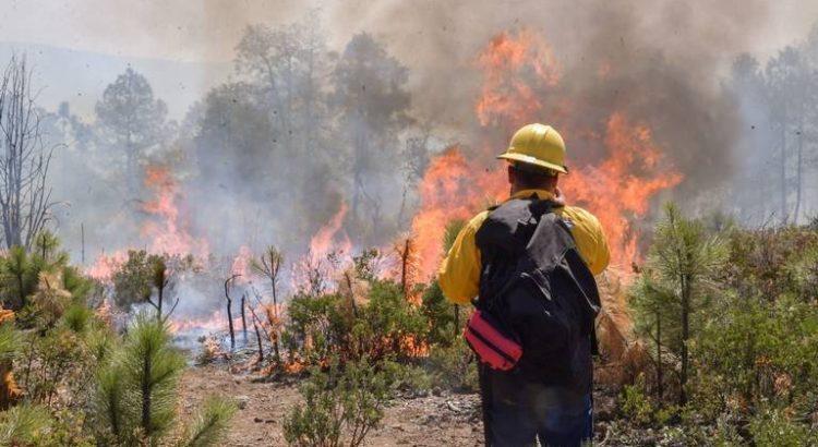 Activan Plan DN-III por incendio forestal en Sierra de San Juan de Tepic