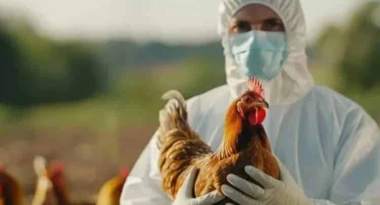 Confirma el IMSS que no hay alerta sanitaria tras caso de influenza aviar en Durango