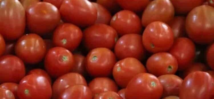 Estados Unidos impone nuevos aranceles al tomate mexicano