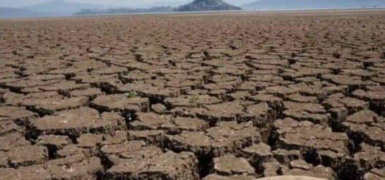 Advierte la ONU sobre “calentamiento global sin precedentes”