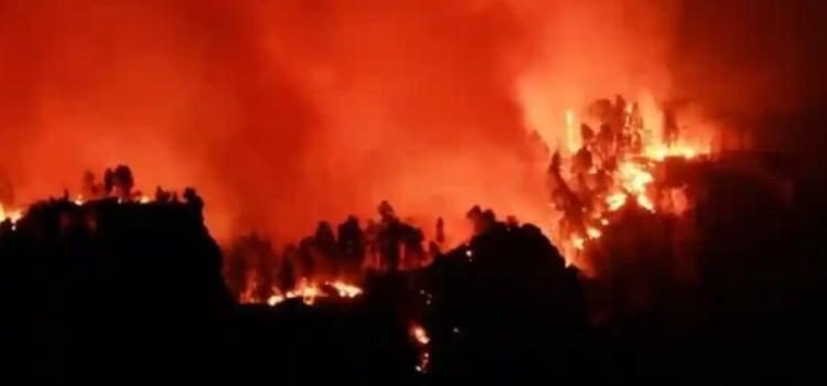 Crisis climática, “una amenaza urgente y existencial”: CIJ