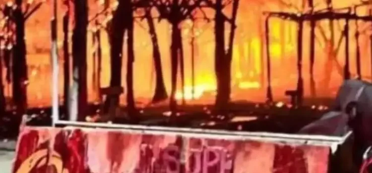 Destruye incendio más de 200 palapas en zona turística de Mahahual