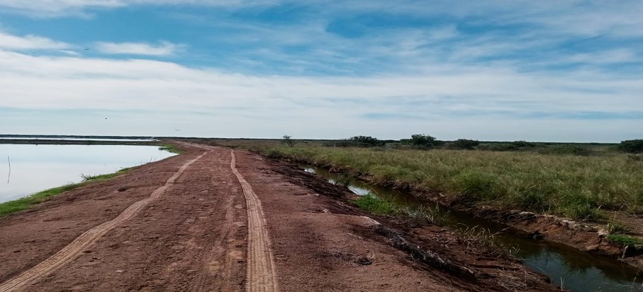 Clausuran granja camaronícola dentro de reserva natural en Tuxpan