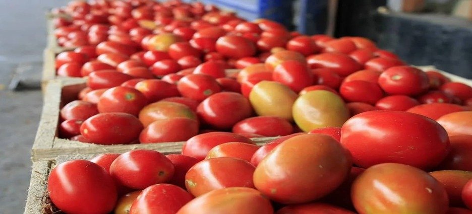 Subieron de precio el jitomate y el limón reportan comerciantes en Tepic