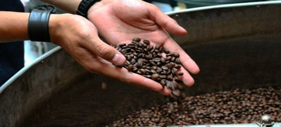 Otorgan protección de denominación de origen a 2 mil 367 cafeticultores