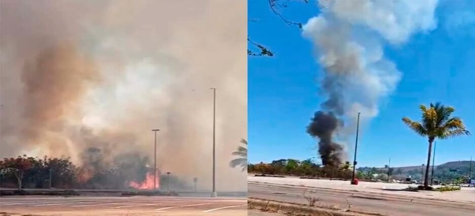 Incendio de pastizal amenaza zonas habitacionales en Tepic