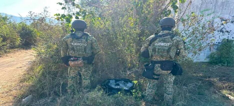 SEDENA informa captura de 20 personas y decomisos durante operativos realizados en Nayarit
