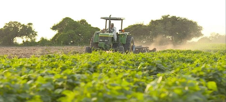 Nayarit destaca a nivel nacional por producción de seis cultivos agrícolas